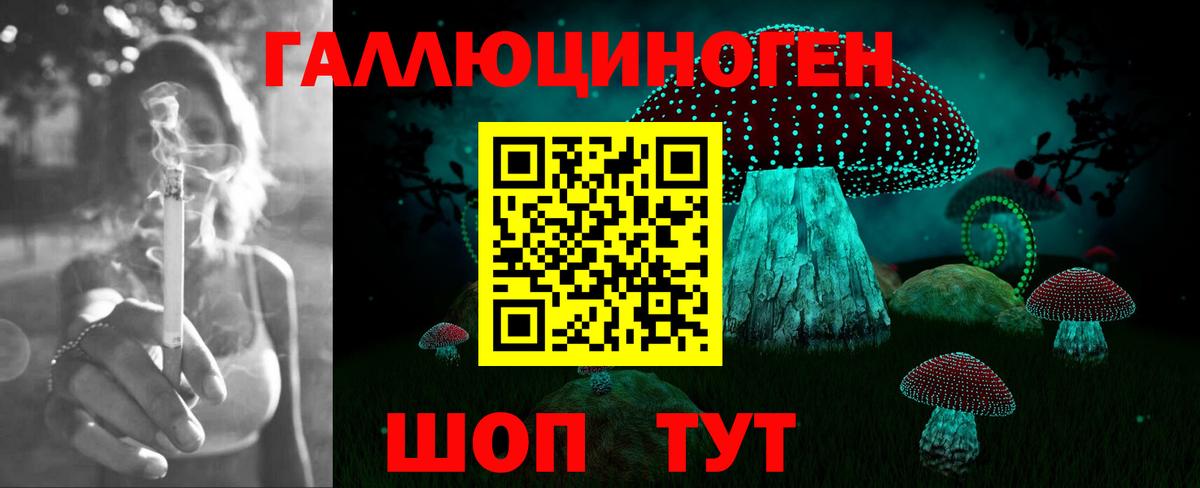 Псилоцибиновые грибы Psilocybe Сланцы